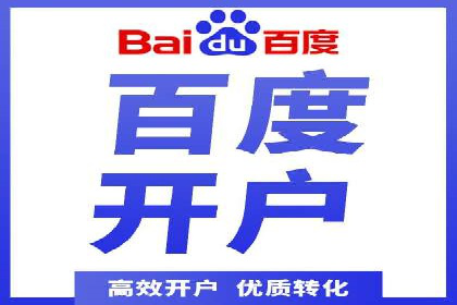 大型企业SEM外包实战案例